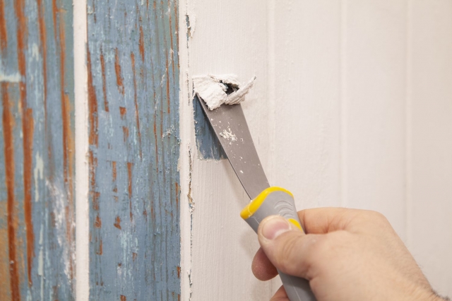 Paint Remover Market is Estimated to Witness High Growth Owing to Increasing Demand for Repainting 