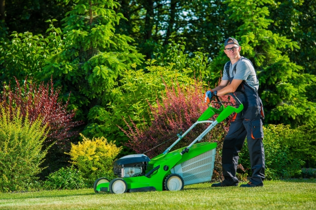 Why Lawn Care in Rogers USA is Essential
