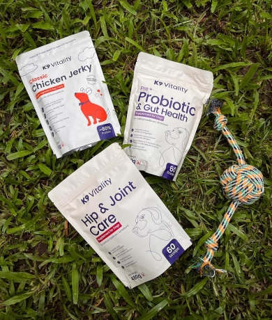 Building Better Health: The Role of Supplements in Your Dog’s Diet