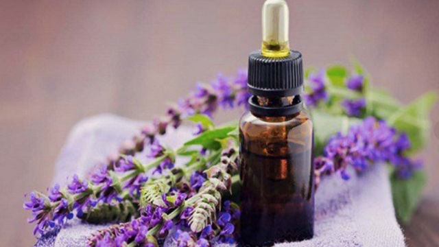 Aromatherapy Market Review, Strategic Insights onGrowth Factors and Future Directions to 2032