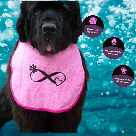 Maintain the Clean Hygiene of the Dog with a Personalized Bib