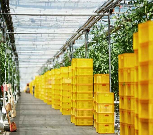 Plastic Products: Common Uses, and Advantages