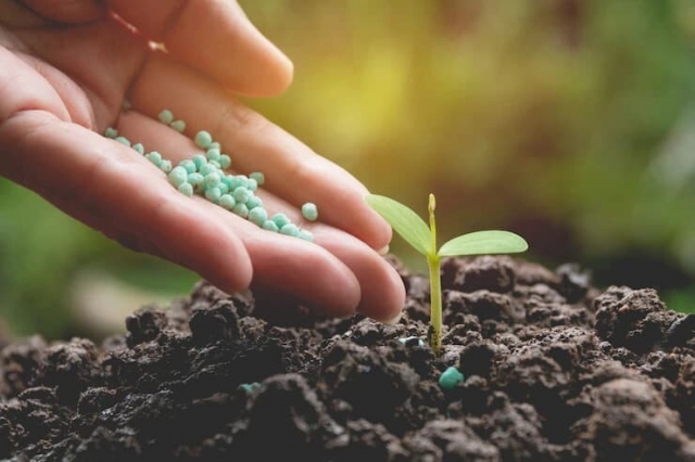 Brazil Biofertilizer Market Growth, Report and Forecast 2025-2033