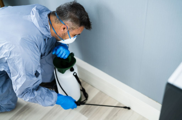 Say Goodbye to Cockroaches: Alpha Pest Control's Ultimate Treatment Plan