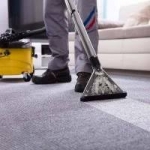 Beyond Clean: Discover Brooklyn’s Top Carpet Cleaning Companies Transforming Homes and Businesses