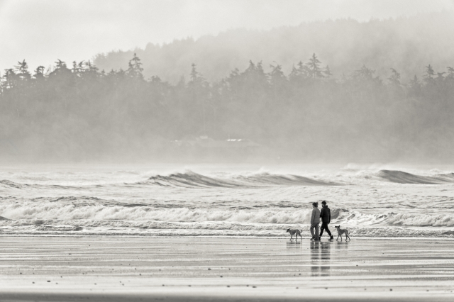 Ultimate Tofino Retreats: Stunning Ocean Views and Spa-Like Amenities