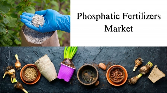 Phosphatic Fertilizers Market Size, Share, Growth and Forecast Overview Through 2032