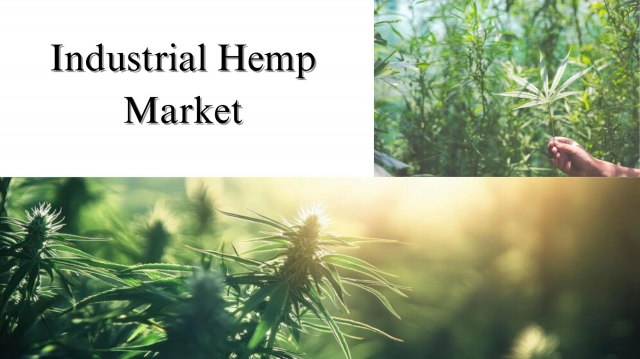 Industrial Hemp Market Size, Share, Growth & Forecast Overview Through 2032