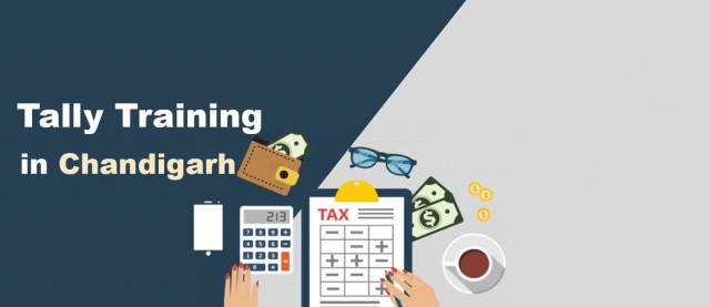 Master the Art of Accounting with a Tally Course in Chandigarh