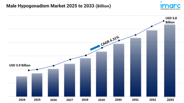Male Hypogonadism Market Size, Global Industry Overview, Analysis and Forecast 2025-2033