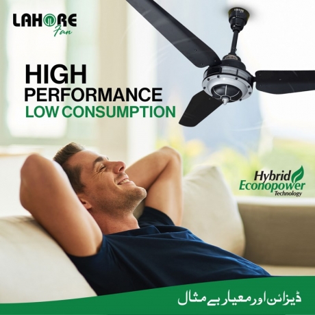 Discover the Best Designer Fan for Your Home