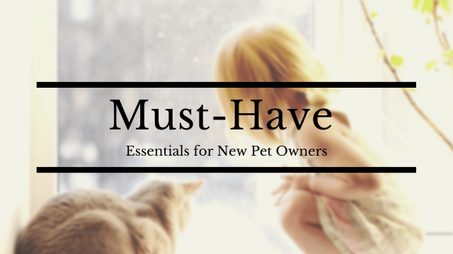 Must-Have Essentials for New Pet Owners: Your Guide to Keeping Pets Happy and Healthy