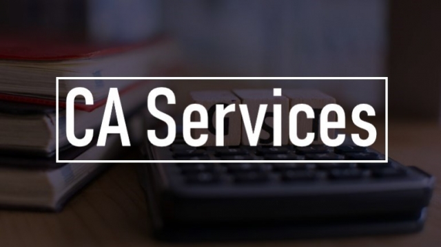 How a CA in Delhi Can Help You Save Taxes and Grow Your Business