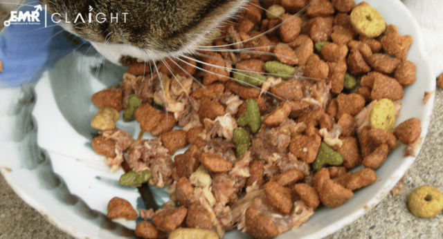 Cat Food Market Size, Share, Industry Trend & Growth Analysis 2034