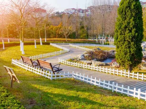 Top 6 Landscaping Services to Enhance Your San Antonio TX Home