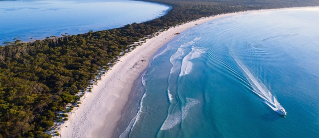Finding Your Perfect Maria Island Cruise: Tailored Tips for Every Travel Style