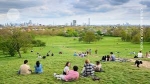 Outdoor Therapy Activities: Unlocking the Power of Nature for Healing and Well-Being