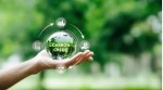 How Can Schools Use Carbon Credits?