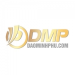 DaoMinhPhu guong mat tieu bieu cua lang poker Viet Nam