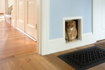 Reliable Glass Repairs and Pet Door Installation Services in New Zealand
