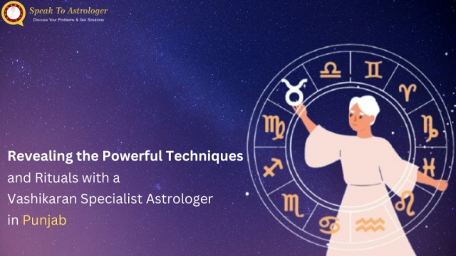 vashikaran specialist astrologer in Punjab