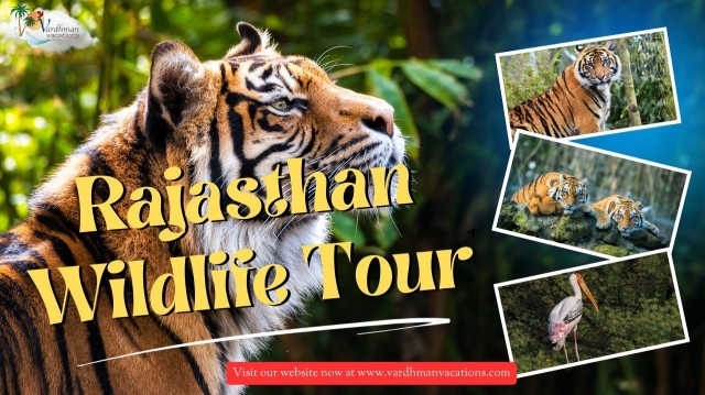 The Ultimate 7-Day Rajasthan Wildlife Tour Itinerary