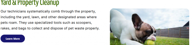 Pooper Scooping Services in Kalamazoo, MI: Making Pet Proprietorship Perfect and Simple!