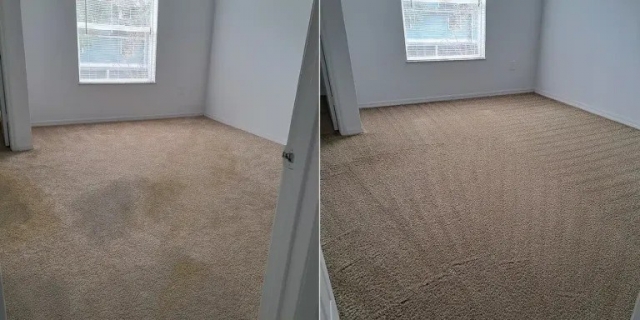 Top 5 Stubborn Carpet Stains and How Professionals Remove Them