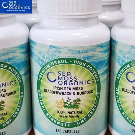 Benefits of Natural Organic Sea Moss for Your Daily Routine