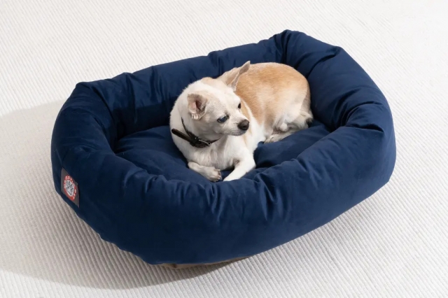 What is the best pet bed for dogs?