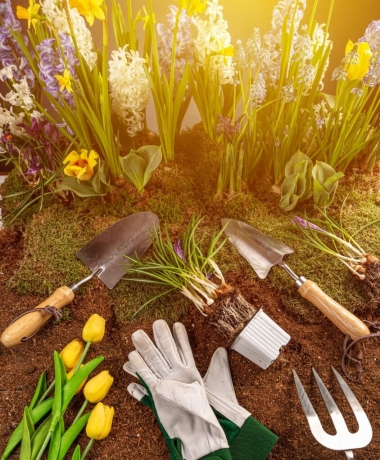 Affordable Landscaping in Cape Town: Transforming Your Outdoor Space on a Budget