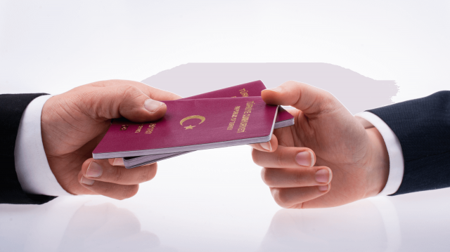 Comparing Turkish Citizenship to Other Countries’ Citizenship Programs
