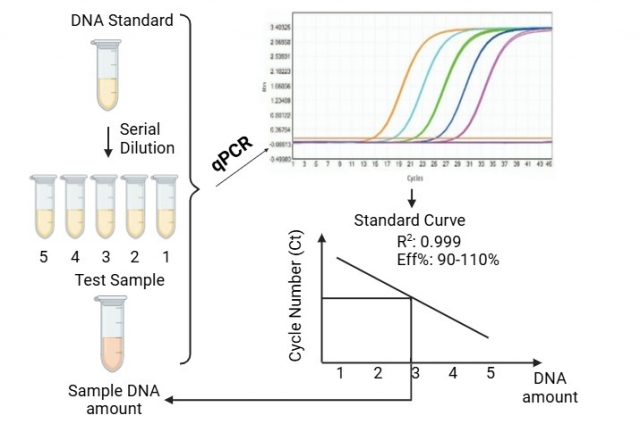 Enhanced Viral Nucleic Acid Residue Assay Kits for Biopharmaceutical Manufacturing