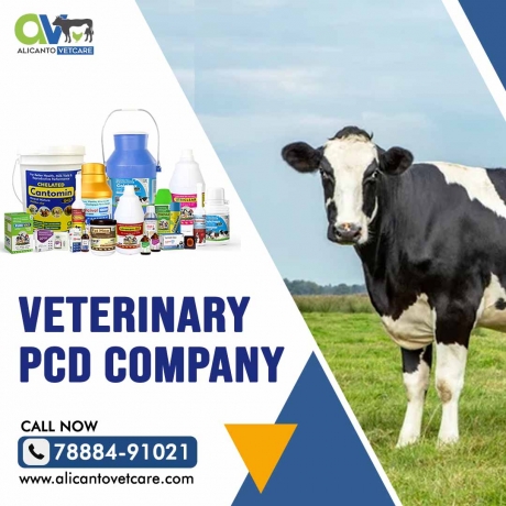 Veterinary PCD Company in India