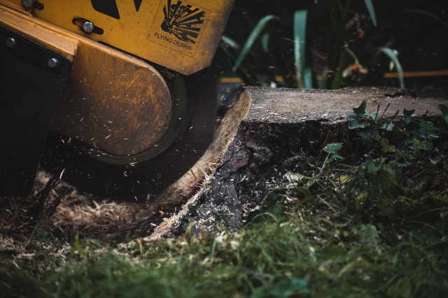 London Stump Grinding | Stump Removal North London