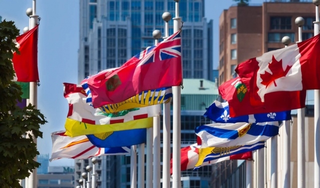 What are Provincial Nominee Programs (PNPs)