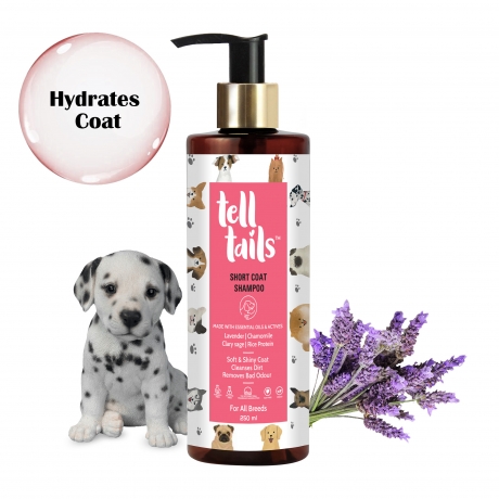 How to Care for Your Dog’s Coat with Telltails Dog Coat Shampoo