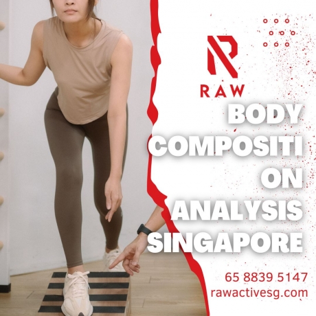 How Often Should I Do Body Composition Analysis Singapore?