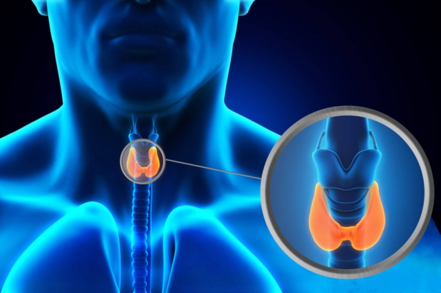 Paraganglioma Market is Estimated to Witness High Growth Owing to Advancements in Biomarker Diagnostics