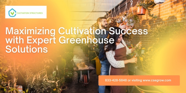 Maximizing Cultivation Success with Expert Greenhouse Solutions