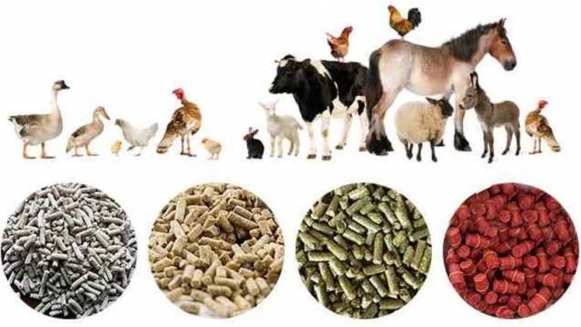 Animal Feed Market is Estimated to Witness High Growth Owing to Advancements in Feed Additives 