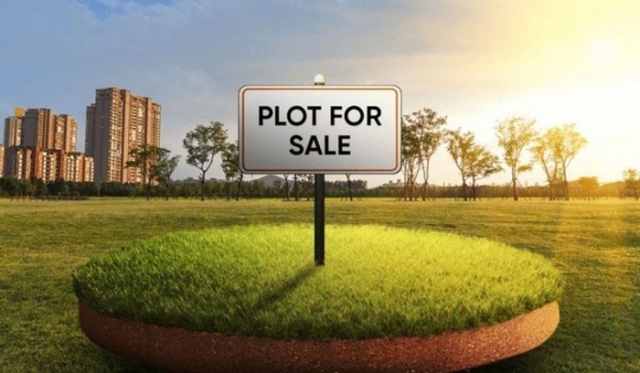 What Causes the Increase in Property Value of Plots
