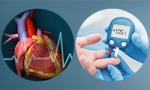 Stories from Diabetology Fellows: Lessons Learned