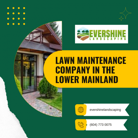 Why Professional Landscaping Services are Worth the Investment?