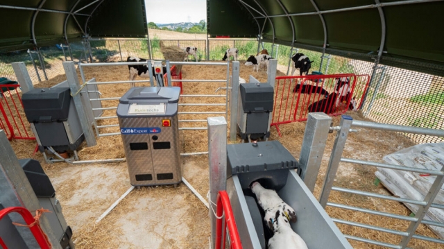 Agri Span na Sezon Wycieleń: Uniwersalna hala hodowlana dla cieląt w nowoczesnych gospodarstwach