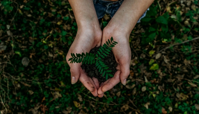 Empowering Agricultural Sustainability