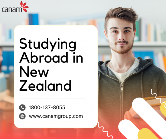 Cost of Studying Abroad in New Zealand 