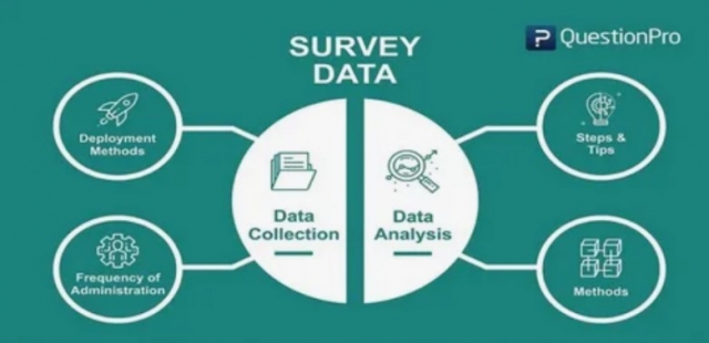 5 Survey Platforms That Offer Higher Rewards and Faster Payouts