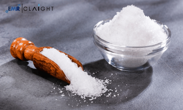 Magnesium Hydrosulfide Manufacturing Plant Project Report | Detailed Insights and Industry Overview