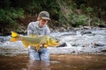 What Are the Best Tips for Fly Fishing Beginners?
